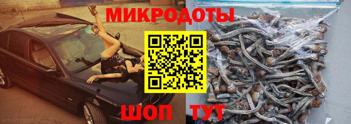 Галлюциногенные грибы прущие грибы  Вход с VPN  купить закладку  Бузулук 