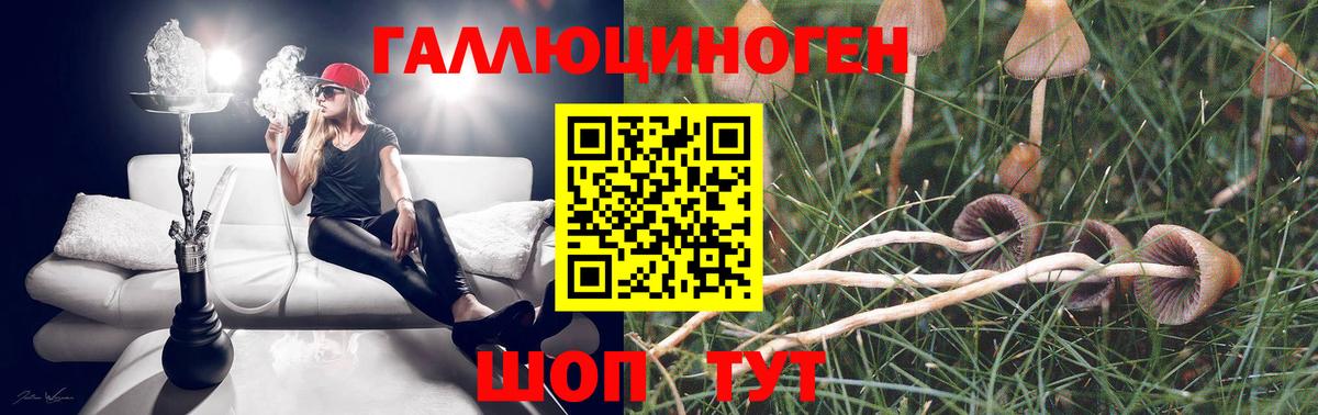 Галлюциногенные грибы прущие грибы Бузулук